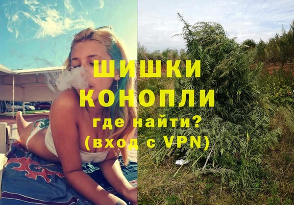 индика Карпинск